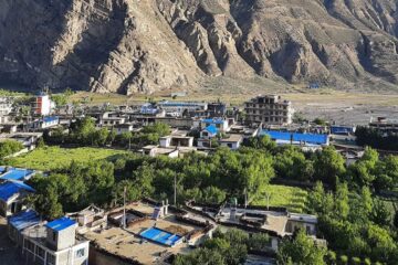 मलाई असफल पार्नेबाहेक ओलीले अरु काम गरेनन् : प्रचण्ड